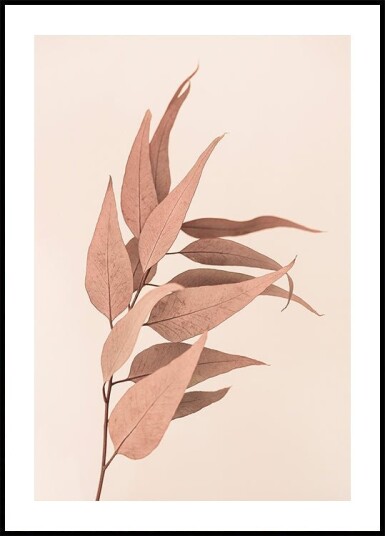 Dried Eucalyptus Plakat / 100x150cm