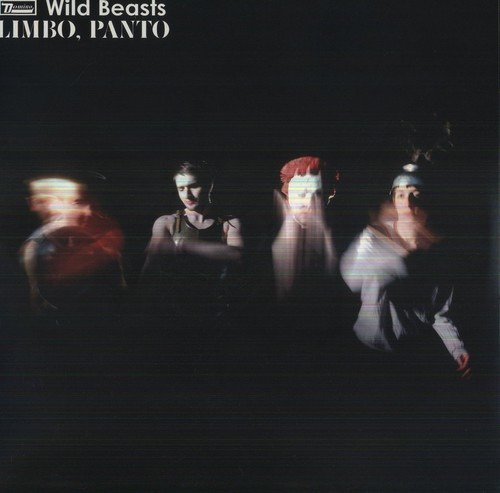 Limbo Panto Vinyl