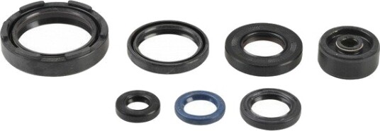 ATHENA P400485400254 Tetnings helsett, motor