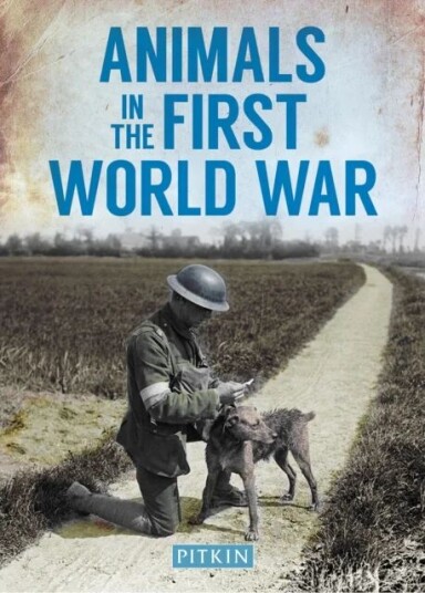 Animals In The First World War Av Peter Street