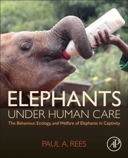 Elephants Under Human Care Av Paul A. (Senior Lecturer School Of Science Rees