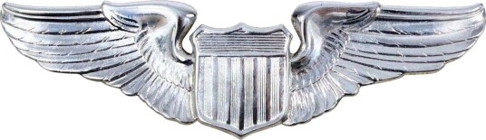 Rothco Pin USAF Pilot Wing Sølv