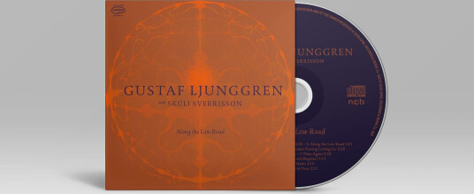 Gustaf Ljunggren Skuli Sverrisson Along The Low Road CD