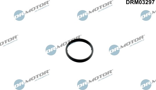 Tetningsring, oljekjøler DR.MOTOR AUTOMOTIVE DRM03297