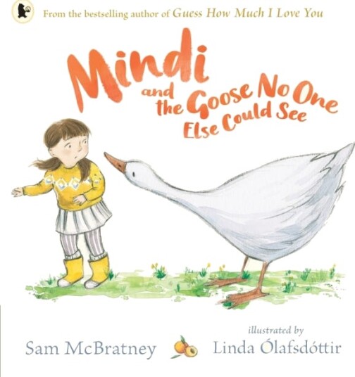 Mindi And The Goose No One Else Could See Av Sam Mcbratney