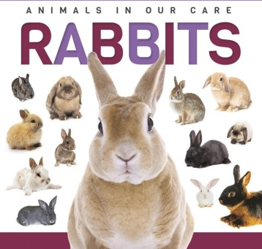 Rabbits Rabbits