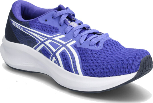 Asics Patriot 14 Purple 49