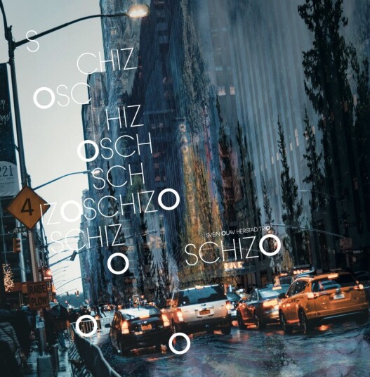 Svein Olav Herstad Trio Schizo Vinyl