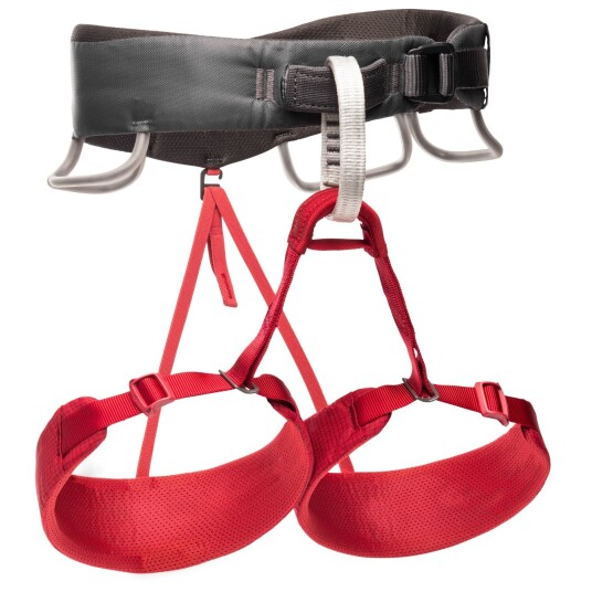 Black Diamond Momentum Harness Woman Wild Rose Large