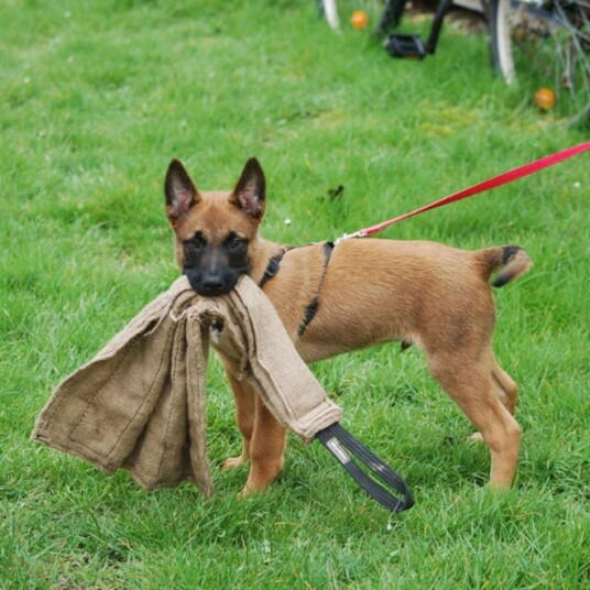 Dingo Gear Klut I Jute 65 cm