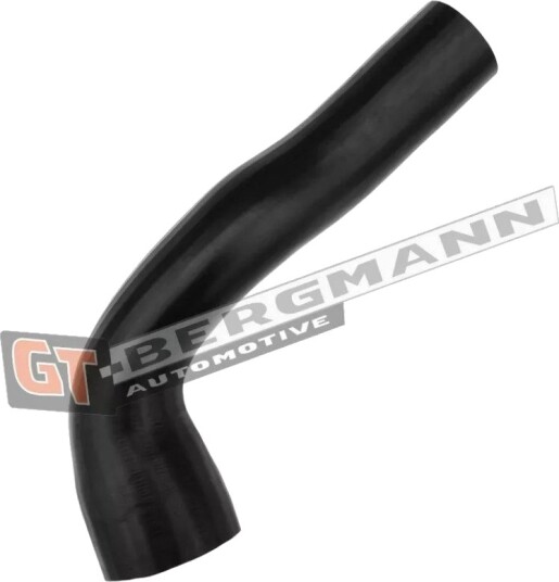 Ladeluftslange GT BERGMANN GT52 499
