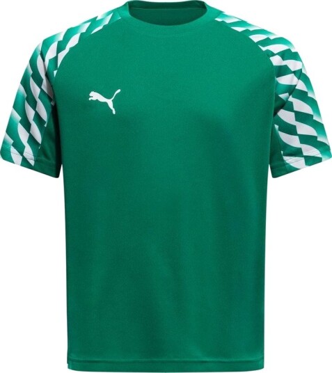 PUMA Trenings T Skjorte teamLIGA26 Grønn/PUMA White Barn størrelse 140 cm