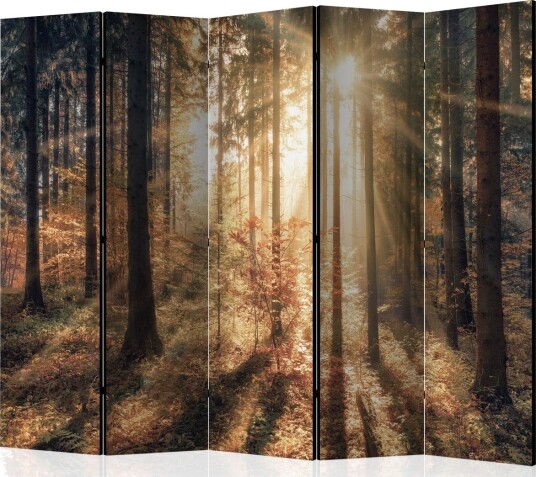 Romdeler - Autumnal Forest II 225x172 - Artgeist sp. z o. o.