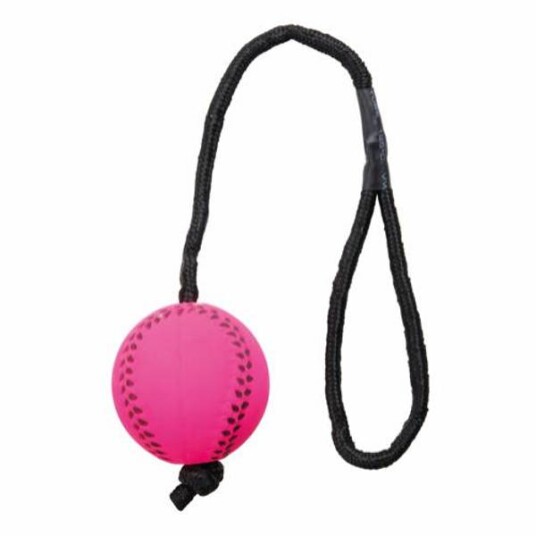 Trixie Sportsballer Med Tau 6Cm