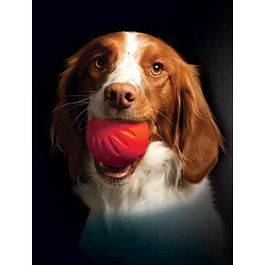 Starmark Foam Bacon Ball Hundeleke Large
