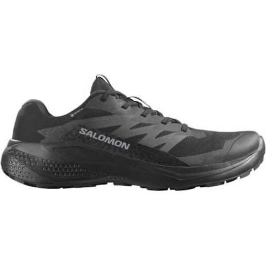 Salomon Alphaglide GTX Herre Black/Asphalt/Black 41 1/3