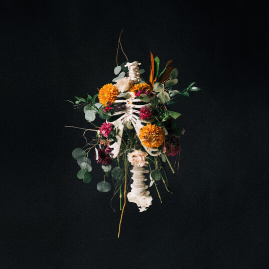 Elevation Worship Graves Into Gardens CD