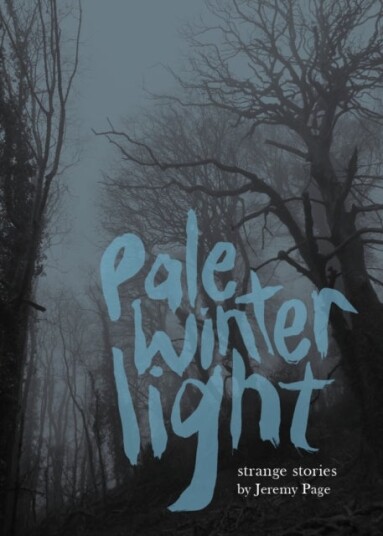 Pale Winter Light Pale Winter Light
