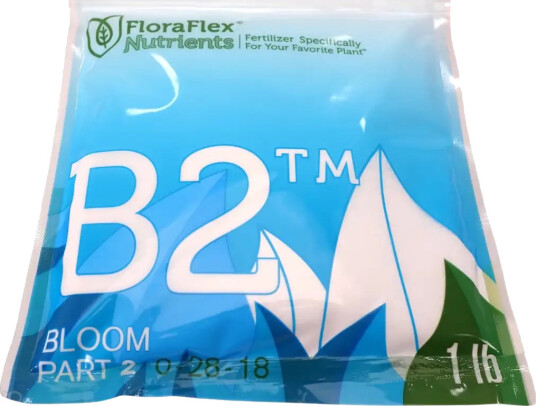 B2 Bloom – Part 2