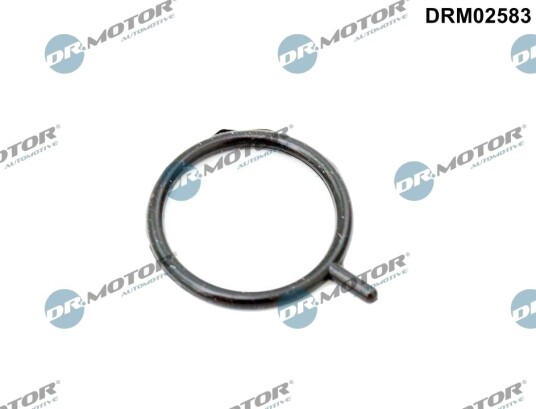 Tetningsring motoroljenivåsensor DR.MOTOR AUTOMOTIVE DRM02583