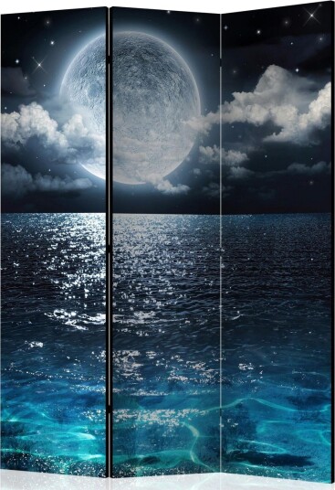 Romdeler - Blue Lagoon 135x172 - Artgeist sp. z o. o.