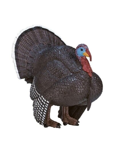 Mojo   Farmland Male Turkey