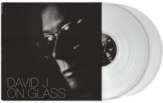 David J On Glass LP/Vinyl