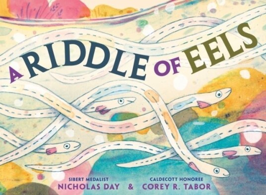 A Riddle of Eels A Riddle of Eels