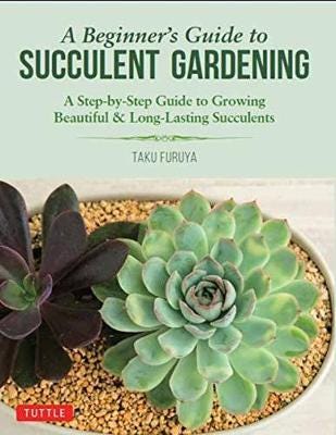 A Beginner'S Guide To Succulent Gardening Av Taku Furuya