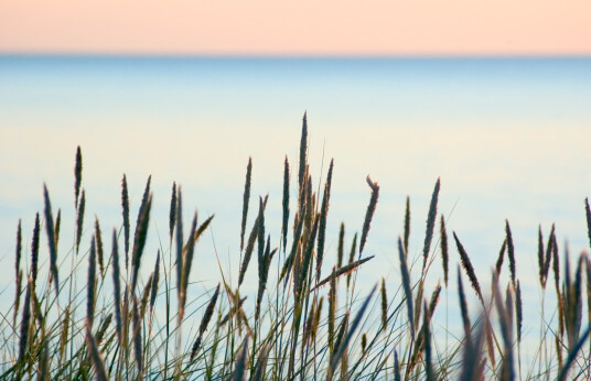 Summer beach av Kirsten Stigsgaard Summer beach av Kirsten Stigsgaard