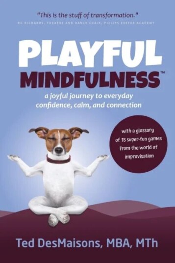 Playful Mindfulness Av Ted Desmaisons