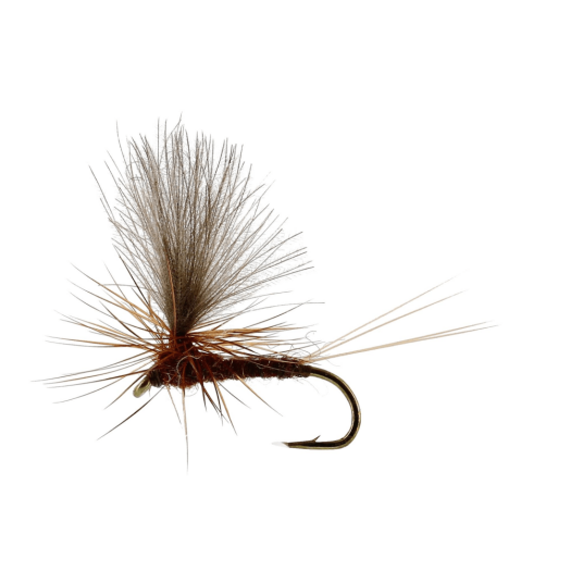 Unique Vespertina Dun Brown TMC100#16