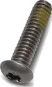 Skrue, torx, 1/4 20 x 1 SS Skrue, torx, 1/4 20 x 1 SS