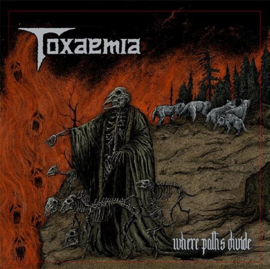 Toxaemia Where Paths Divide LP/Vinyl Toxaemia Where Paths Divide LP/Vinyl