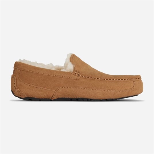 UGG M Ascot - Chestnut UGG M Ascot - Chestnut