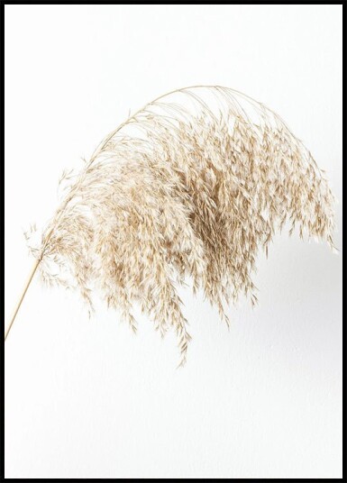 Boho Minimalist Dried Grass Plakat Plakat / 100x150cm