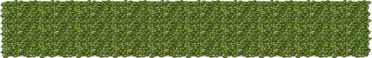  Balkong skjerm med blader Grønn og gul 500 x 75 cm