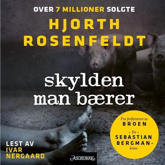 Skylden Man Bærer Av Michael Hjorth, Hans Rosenfeldt