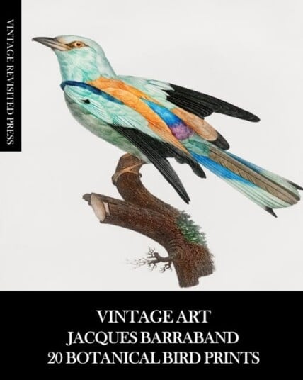 Vintage Art Jacques Barraband 20 Botanical Bird Prints