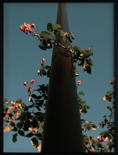 Democratic Gallery Poster Flowers - Blue - 30X40 Democratic Gallery Poster Flowers - Blue - 30X40