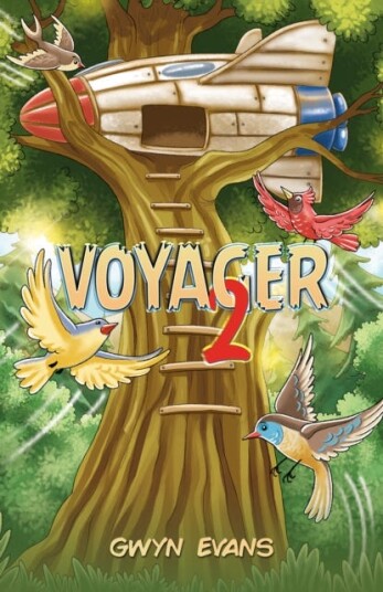 Voyager 2 Voyager 2