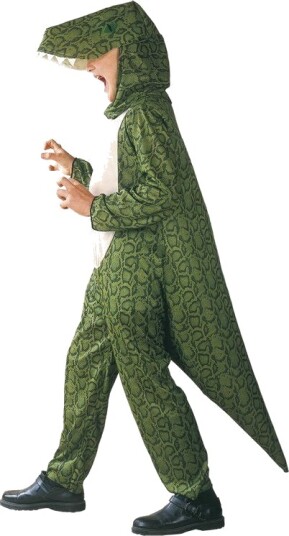 Dinosaur Barnekostyme Strl 122 134 Dinosaur Barnekostyme Strl 122 134