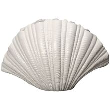 ByOn Shell Vase ByOn Shell Vase