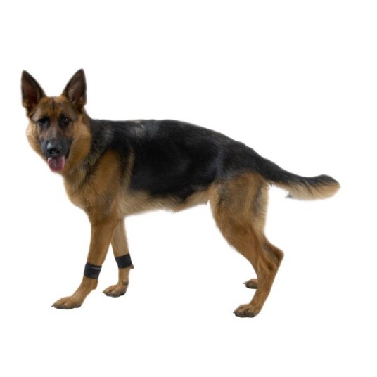 Kruuse Vektmansjetter for Hund Styrketrening - Small