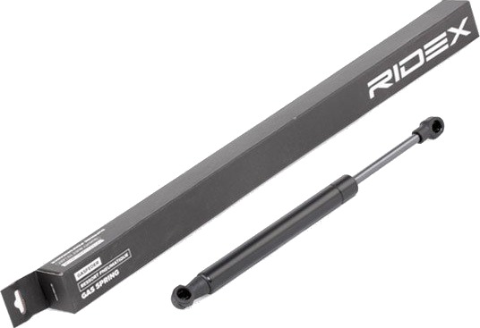 RIDEX 219G0755 Baklukedemper