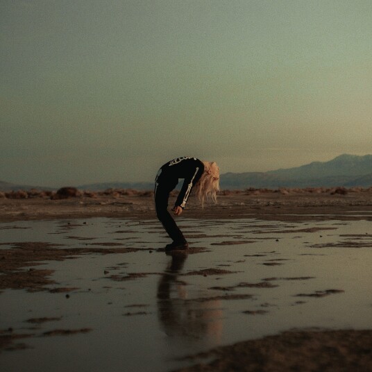 Phoebe Bridgers  Copycat Killer  LP/Vinyl