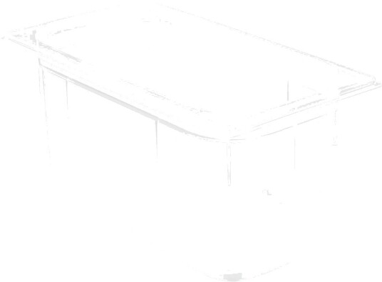 PULSIVA Kantine GN 1/3 Risa GN 1/3 5.3 l 32.5x17.6x15 cm LxBxD Transparent