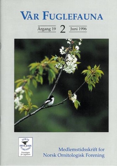 Norsk Ornitologisk Forening Vår Fuglefauna   1996 2 årgang 19