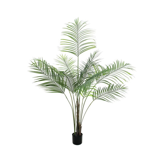Europalms Areca Palm With Big Leaves 185cm Europalms Areca Palm With Big Leaves 185cm