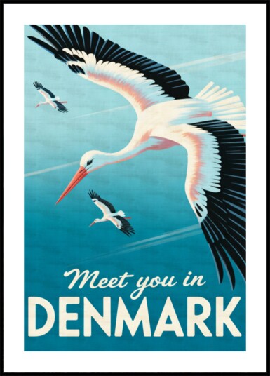 Flying Storks Denmark Plakat / 100x150